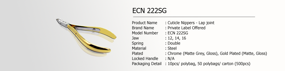 ECN 222SG